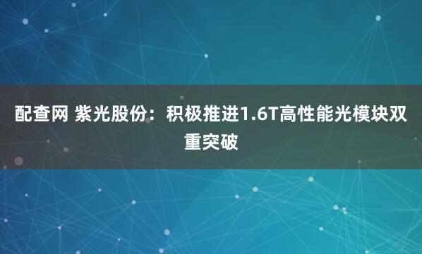 配查网 紫光股份：积极推进1.6T高性能光模块双重突破