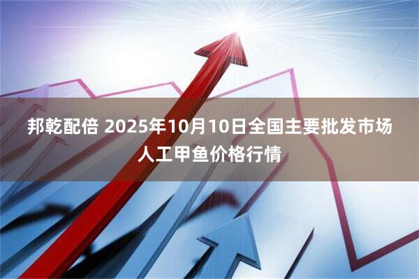 邦乾配倍 2025年10月10日全国主要批发市场人工甲鱼价格行情