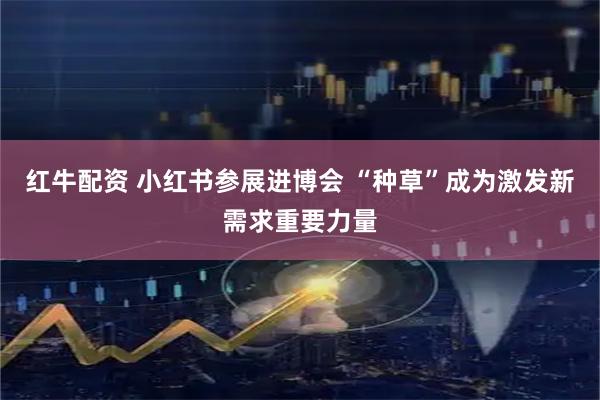红牛配资 小红书参展进博会 “种草”成为激发新需求重要力量